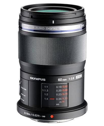olympus 60mm f2.8 macro - fjarribas