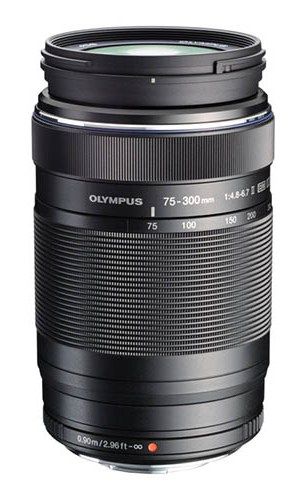 olympus 75-300mm f4.8-6.7 - fjarribas
