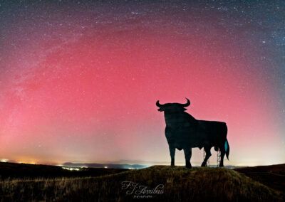 aurora made in spain - fjarribas