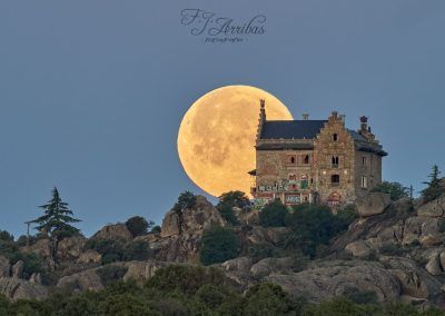 canto del pico - fjarribas