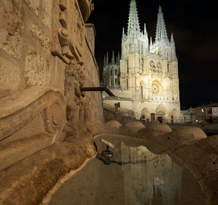 De Canon a Olympus