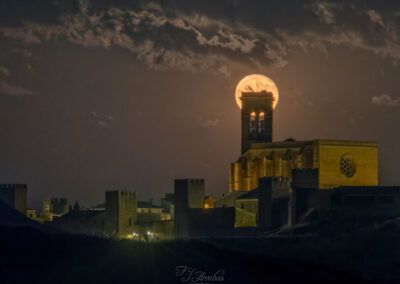 cerco de artajona - fjarribas