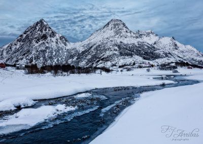 cold paradise - fjarribas