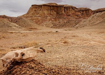 mongolian death valley - fjarribas
