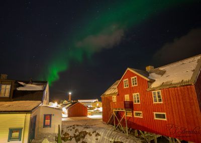 from the window -fjarribas
