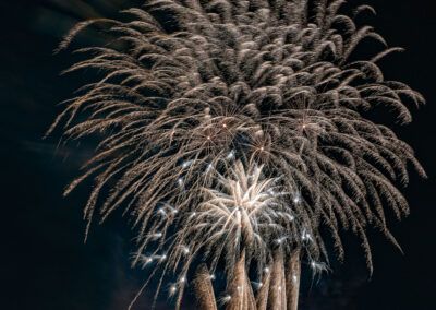 san pedro 2025 - fjarribas