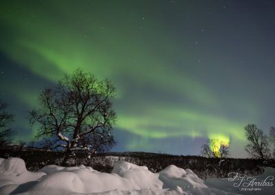 green fire - fjarribas