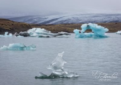 ice penguin - fjarribas