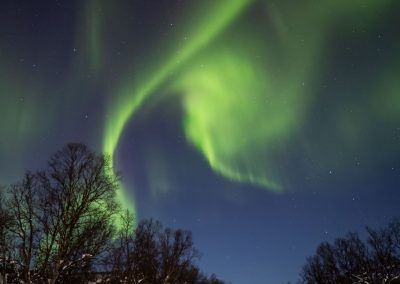 in the middle - fjarribas