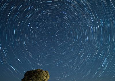 startrail lavanda - fjarribas