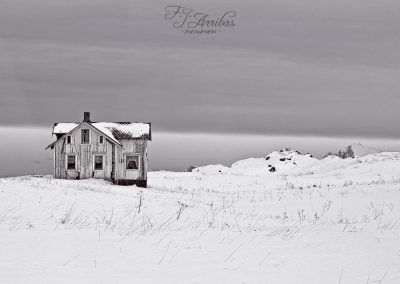 lonely calm - fjarribas