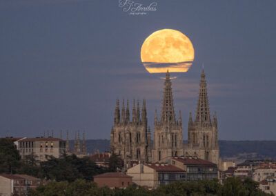 luna del cazador - fjarribas
