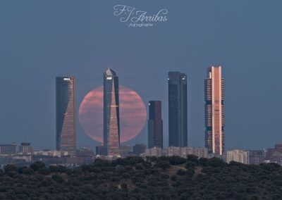 las torres - fjarribas