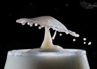 milk drop 1 - fjarribas