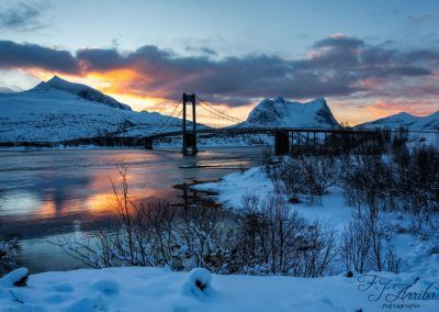 the bridge - fjarribas